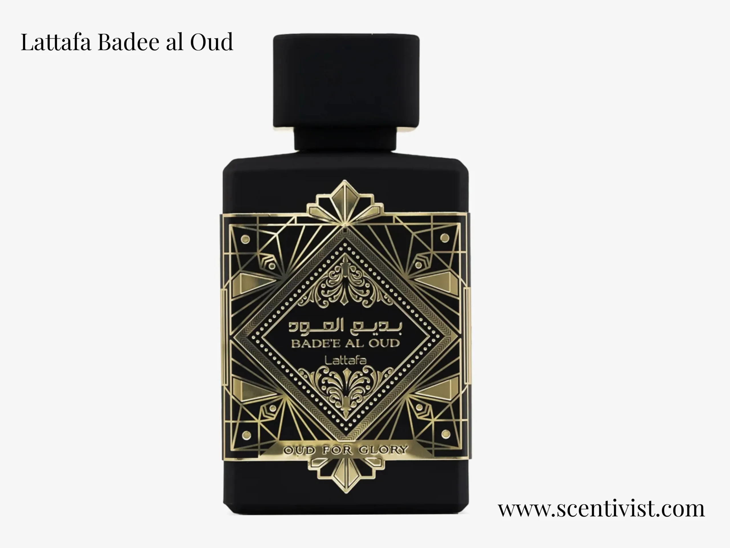 Lattafa Badee al Oud Review 2026: The Best Budget Oud Fragrance!