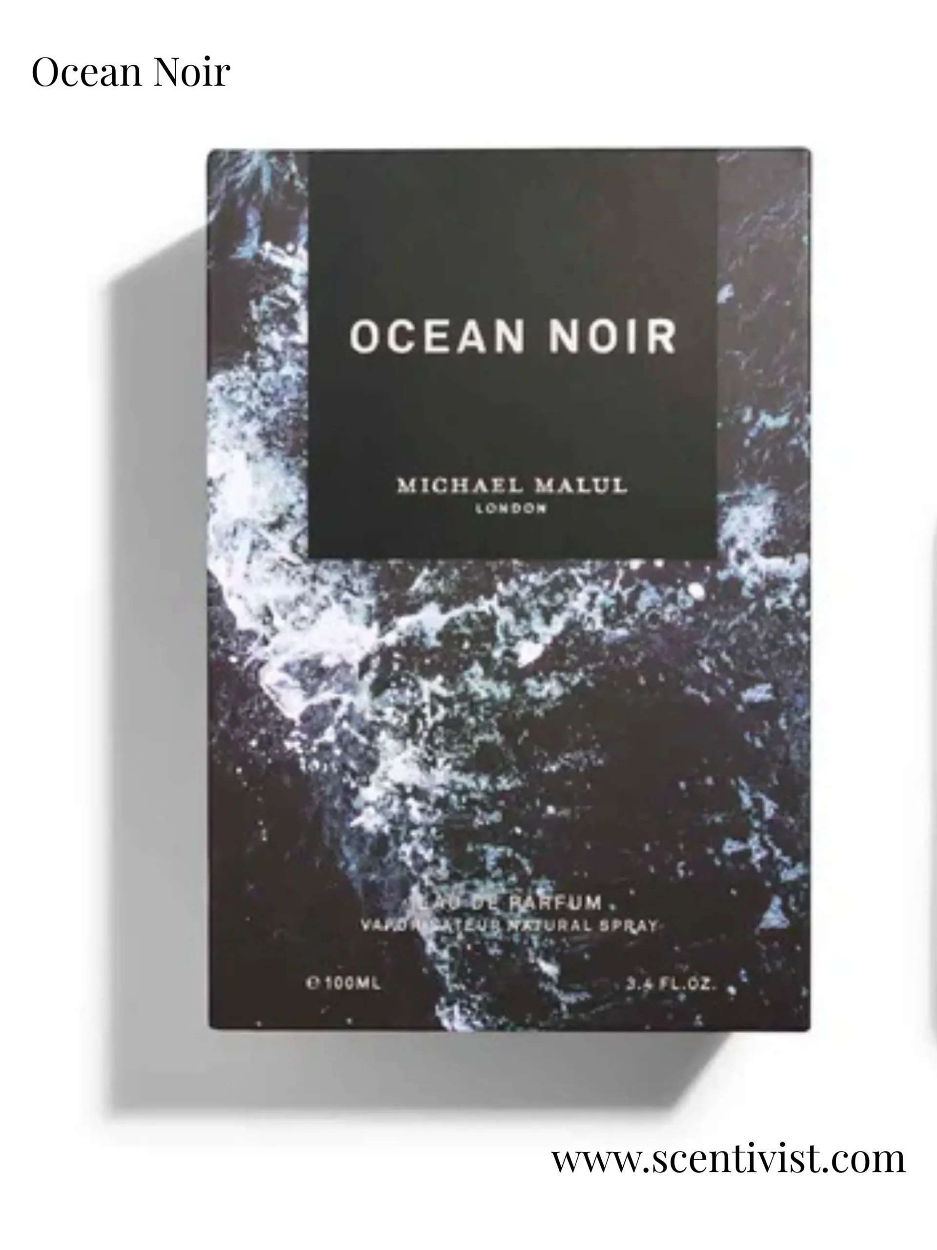 Ocean Noir Perfume Review 2026: Stunning Performance or Overhyped?