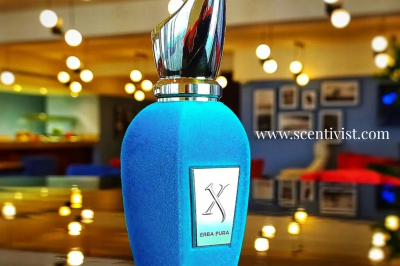 Erab Pura Perfume Review 2026: The Luxurious Scent Everyone Is Talking About!