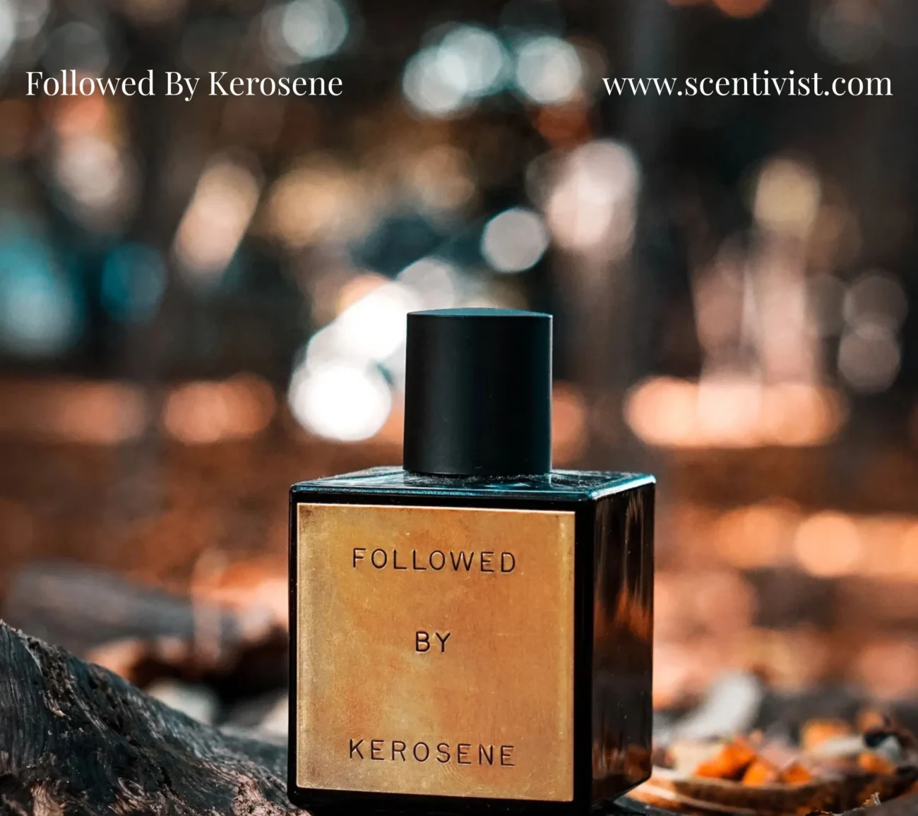 Followed by Kerosene bottle with black design and gold label placed in a warm outdoor setting with blurred lights.