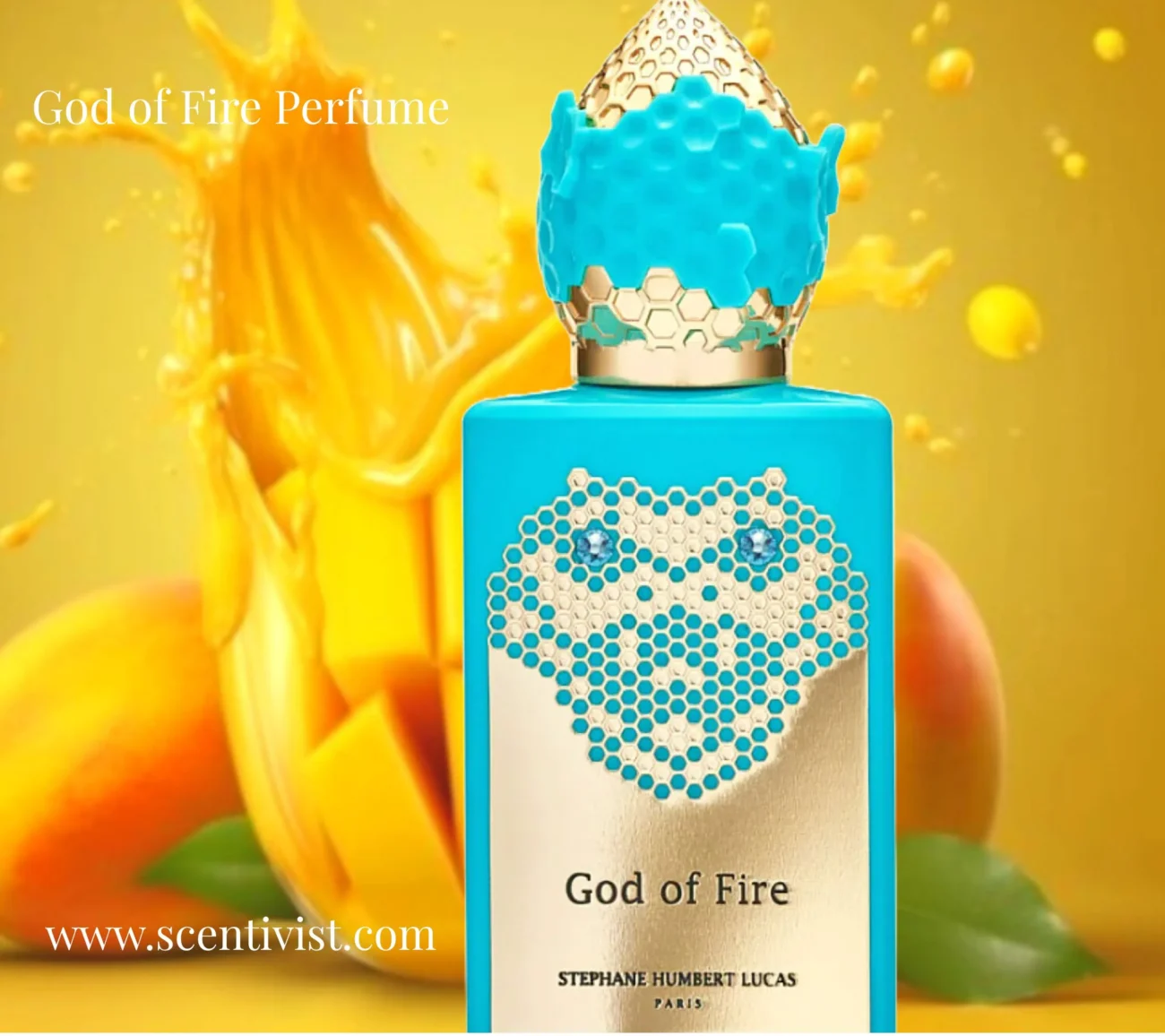 God of Fire Perfume bottle with a luxurious design and bold label, displayed as a premium niche fragrance.