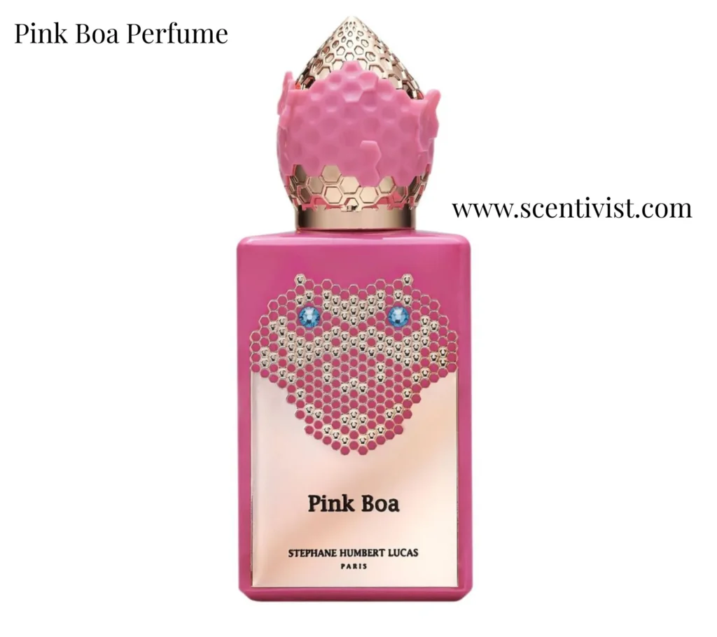 Pink Boa perfume bottle with soft pink liquid and gold-accented cap, displayed on a clean white background.