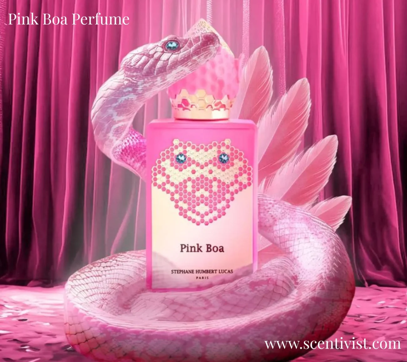 Pink Boa perfume bottle surrounded by a pink snake with feathers against a luxurious pink curtain background