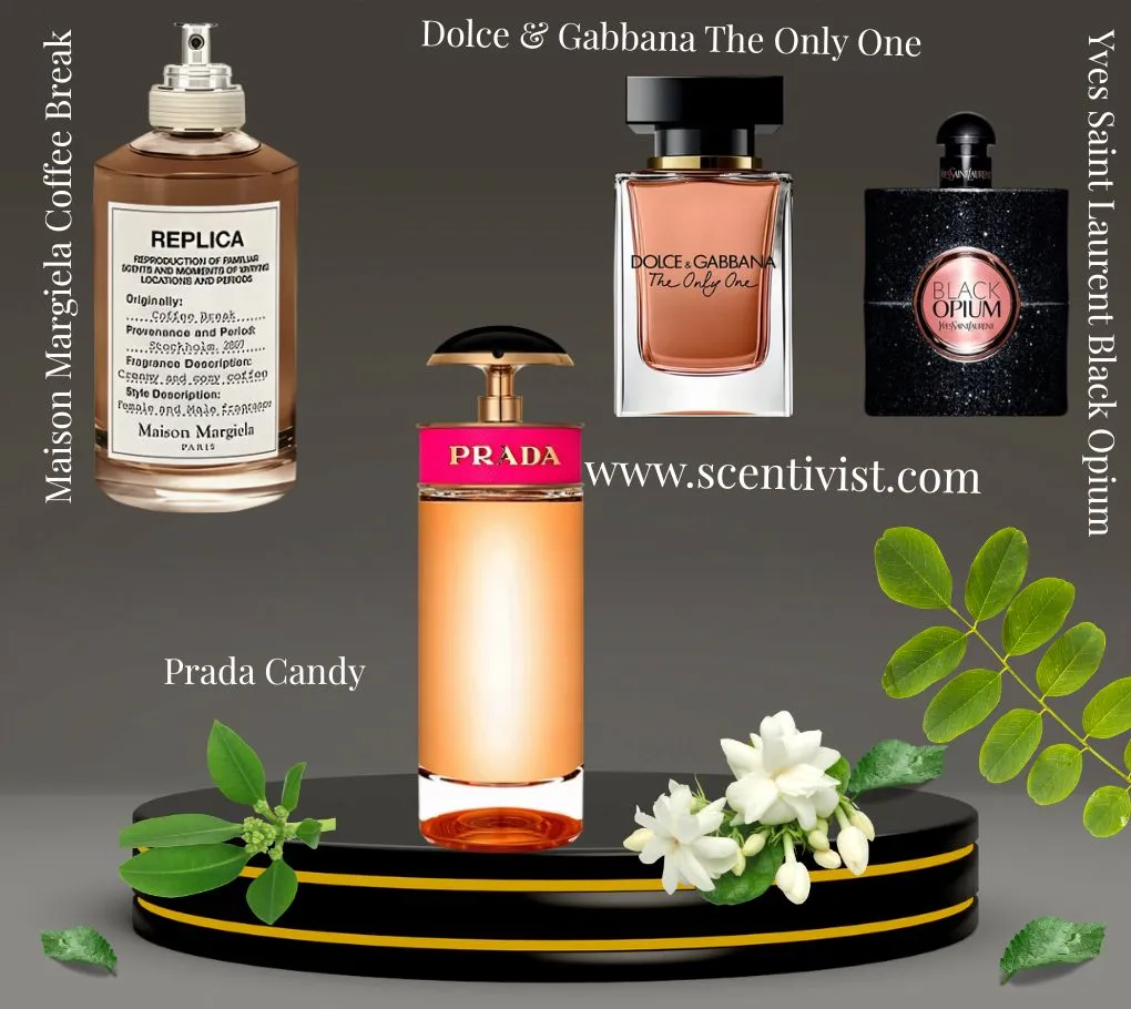 Collection of perfumes similar to 8 Café Josephine, including Maison Margiela Coffee Break, Prada Candy, Dolce & Gabbana The Only One, and YSL Black Opium displayed together.