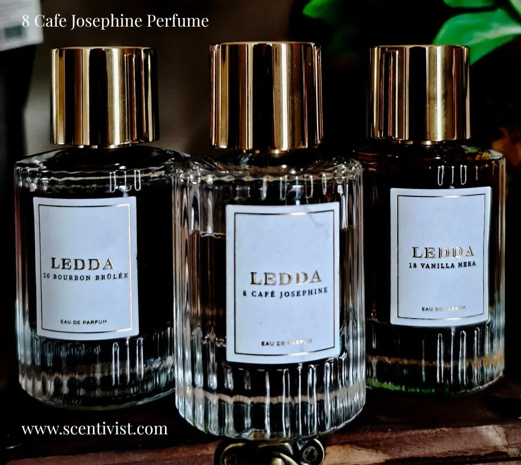 Three Ledda perfume bottles including 8 Café Josephine, displayed with gold caps on a wooden surface.