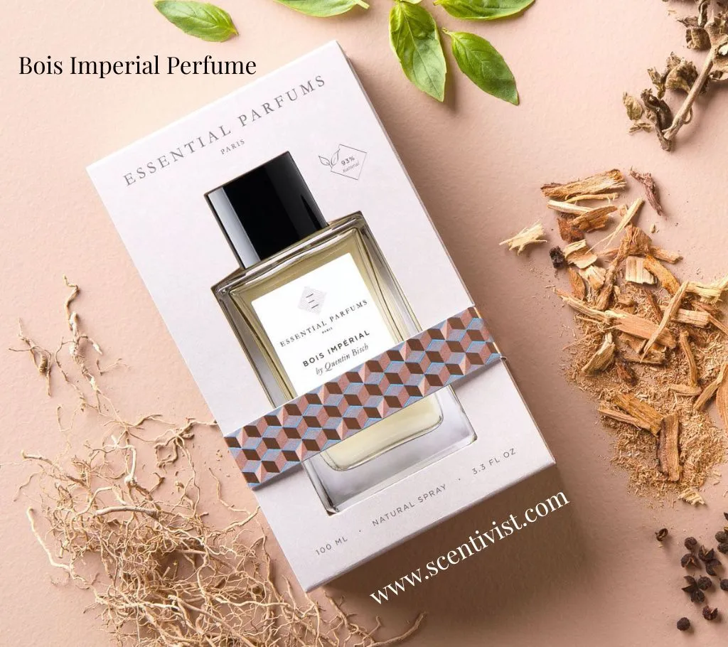 Bois Imperial by Essential Parfums perfume bottle displayed in its box with green leaves, wood chips, and natural roots arranged around it.
