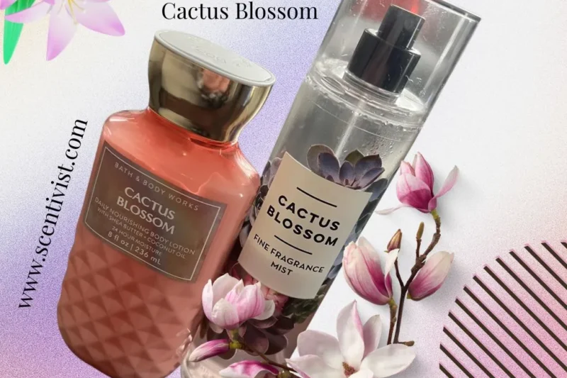 Cactus Blossom fragrance mist and body lotion set placed with pink flowers on a soft pastel background.