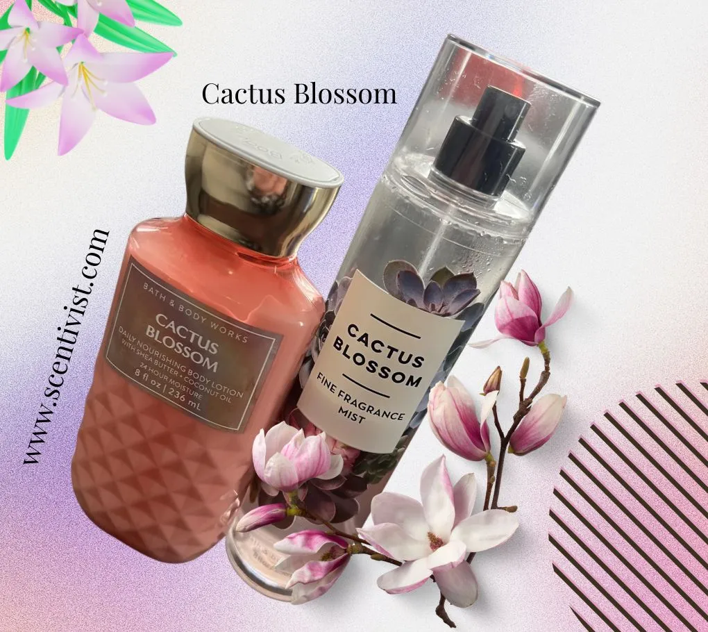 Cactus Blossom fragrance mist and body lotion set placed with pink flowers on a soft pastel background.