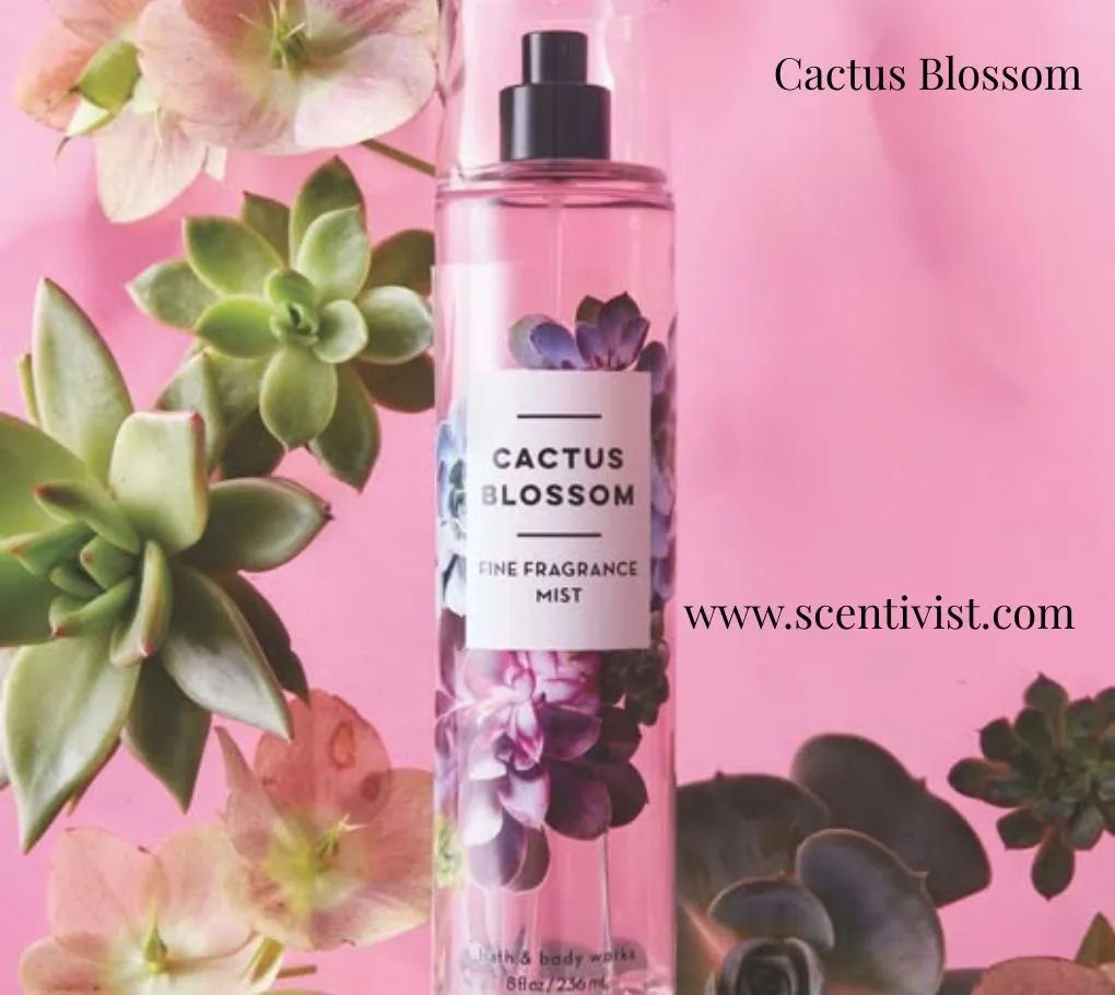 Cactus Blossom fine fragrance mist bottle surrounded by succulents and soft flowers on a pink background.