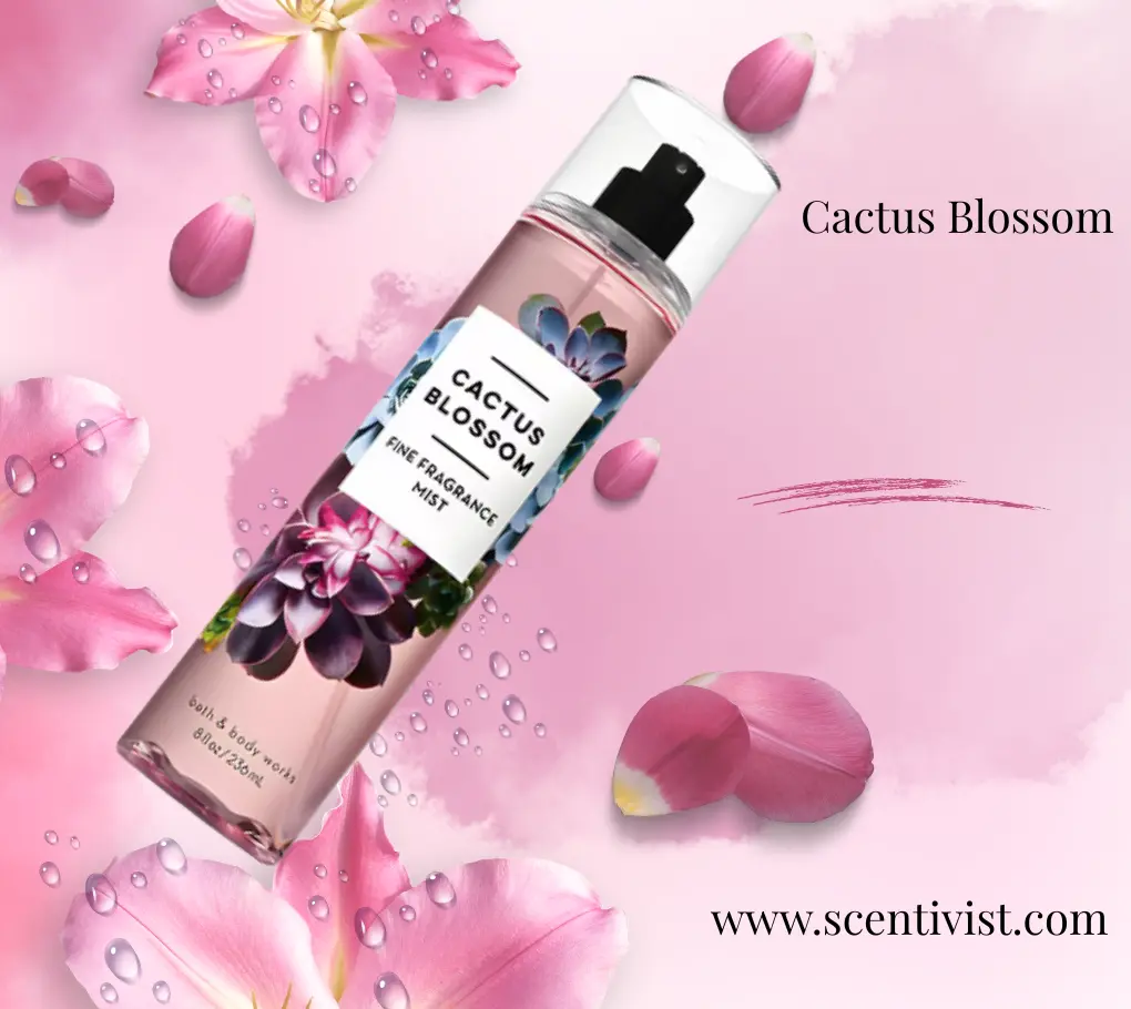 Cactus Blossom fine fragrance mist bottle surrounded by pink petals and water droplets on a soft pink background.