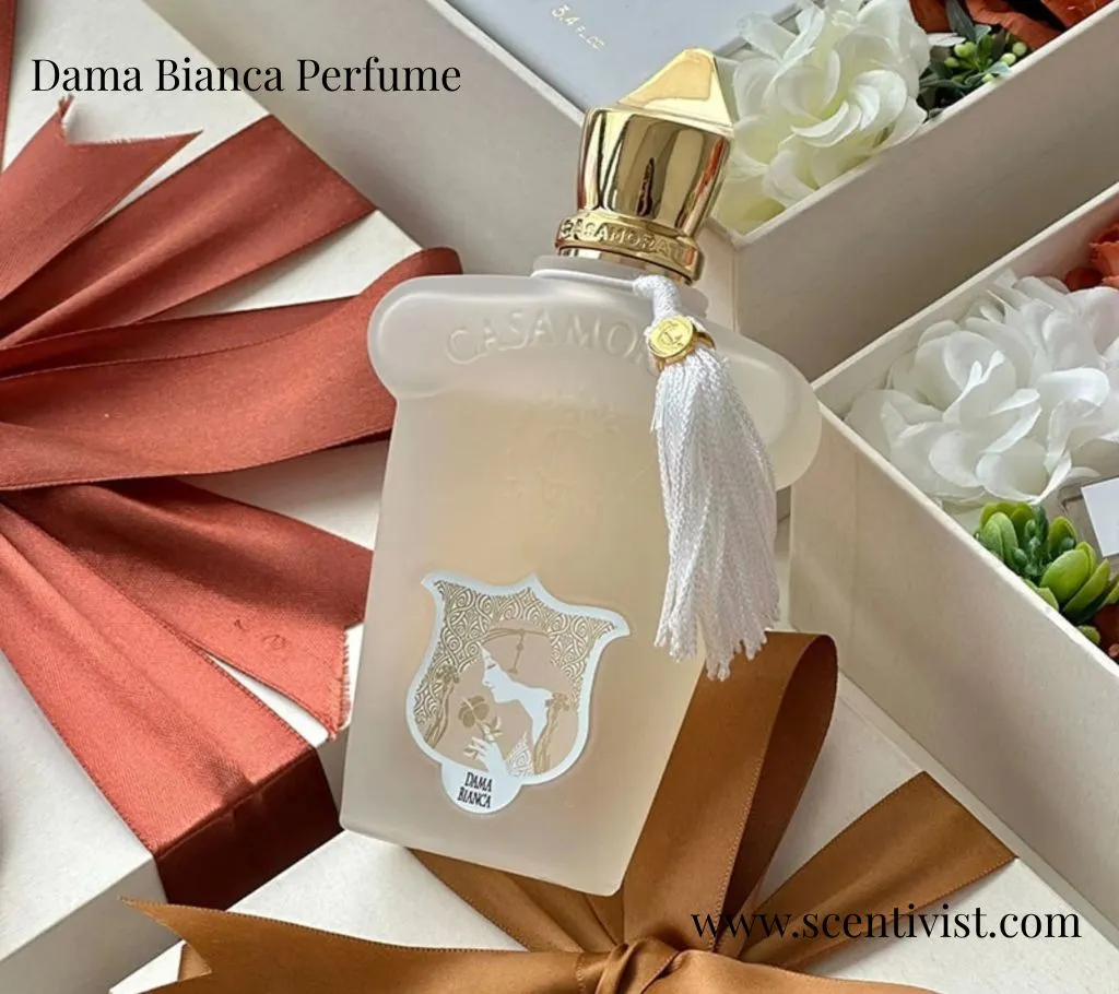 Dama Bianca perfume by Xerjoff Casamorati elegant frosted bottle with gold cap and tassel placed among gift boxes, ribbons, and white flowers.