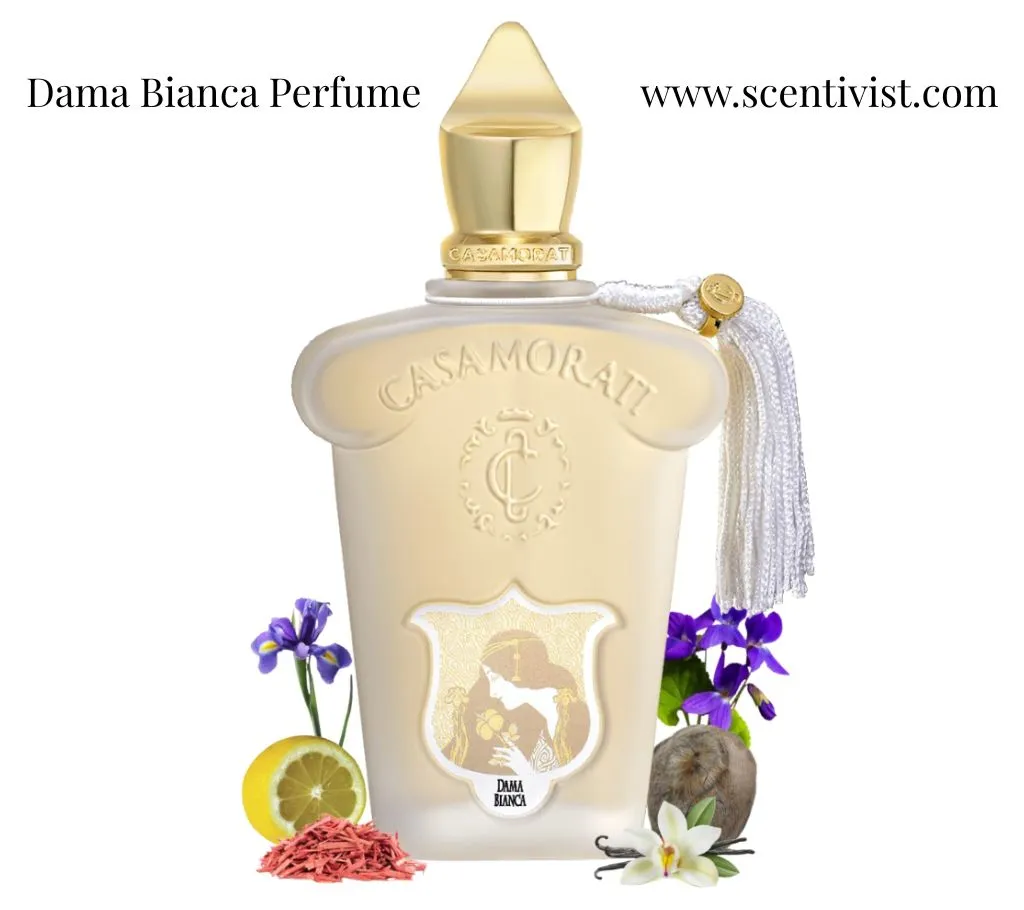 Dama Bianca perfume by Xerjoff Casamorati bottle displayed with vanilla flower, lime slices, lilac and jasmine blossoms, sandalwood, and cedar representing its soft citrus-floral woody notes.