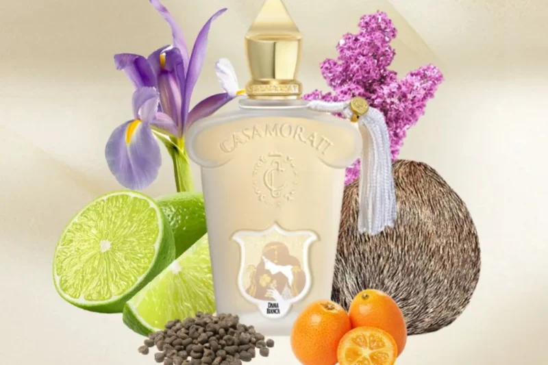 Dama Bianca Perfume Review 2026: The Luxurious Scent That Captures True Femininity!