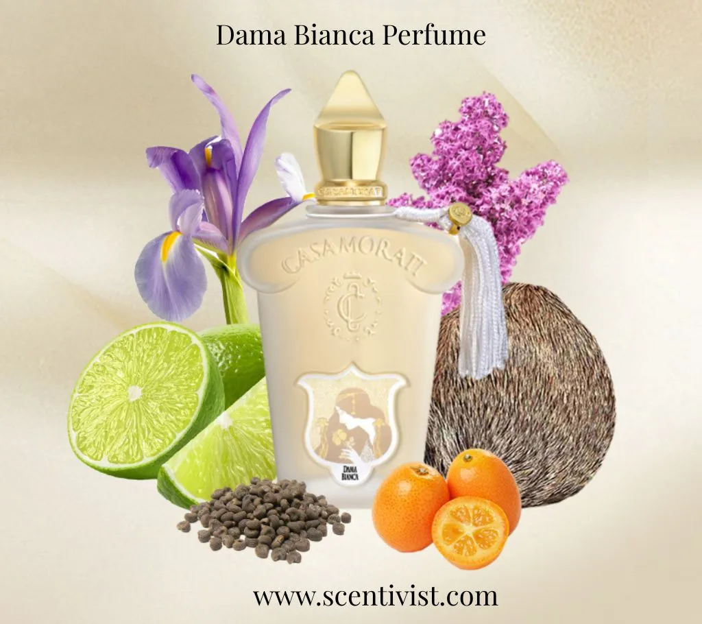 Dama Bianca perfume by Xerjoff Casamorati creamy white bottle displayed with lime slices, kumquat, iris flowers, vanilla pod, and coffee beans representing its fresh and sweet fragrance notes.