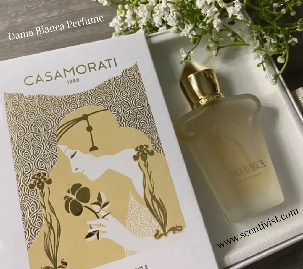 Dama Bianca perfume by Xerjoff Casamorati frosted bottle displayed beside its elegant box packaging with soft white flowers.