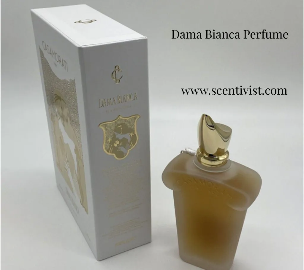 Dama Bianca by Xerjoff Casamorati elegant frosted perfume bottle with box having gold cap and tassel presented in a stylish luxury display.
