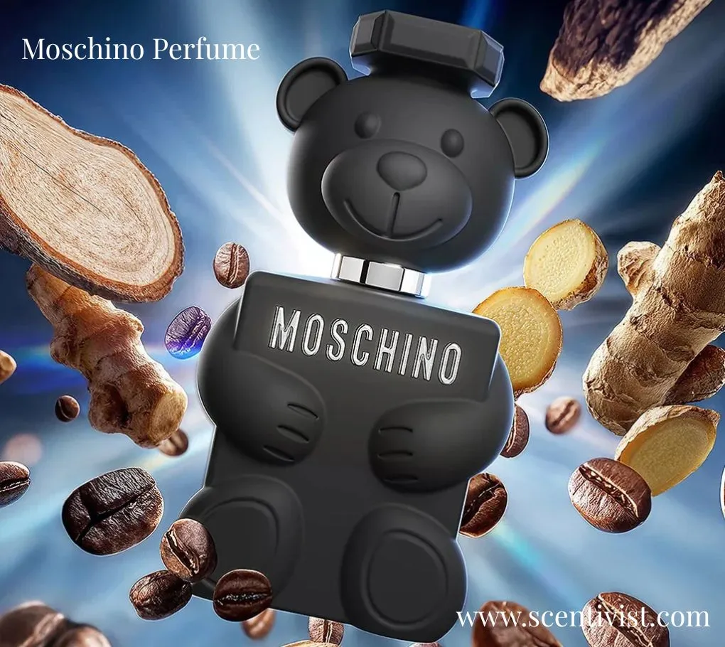 Moschino Toy Boy 2 black teddy bear perfume bottle surrounded by coffee beans and ginger pieces on a dynamic background.