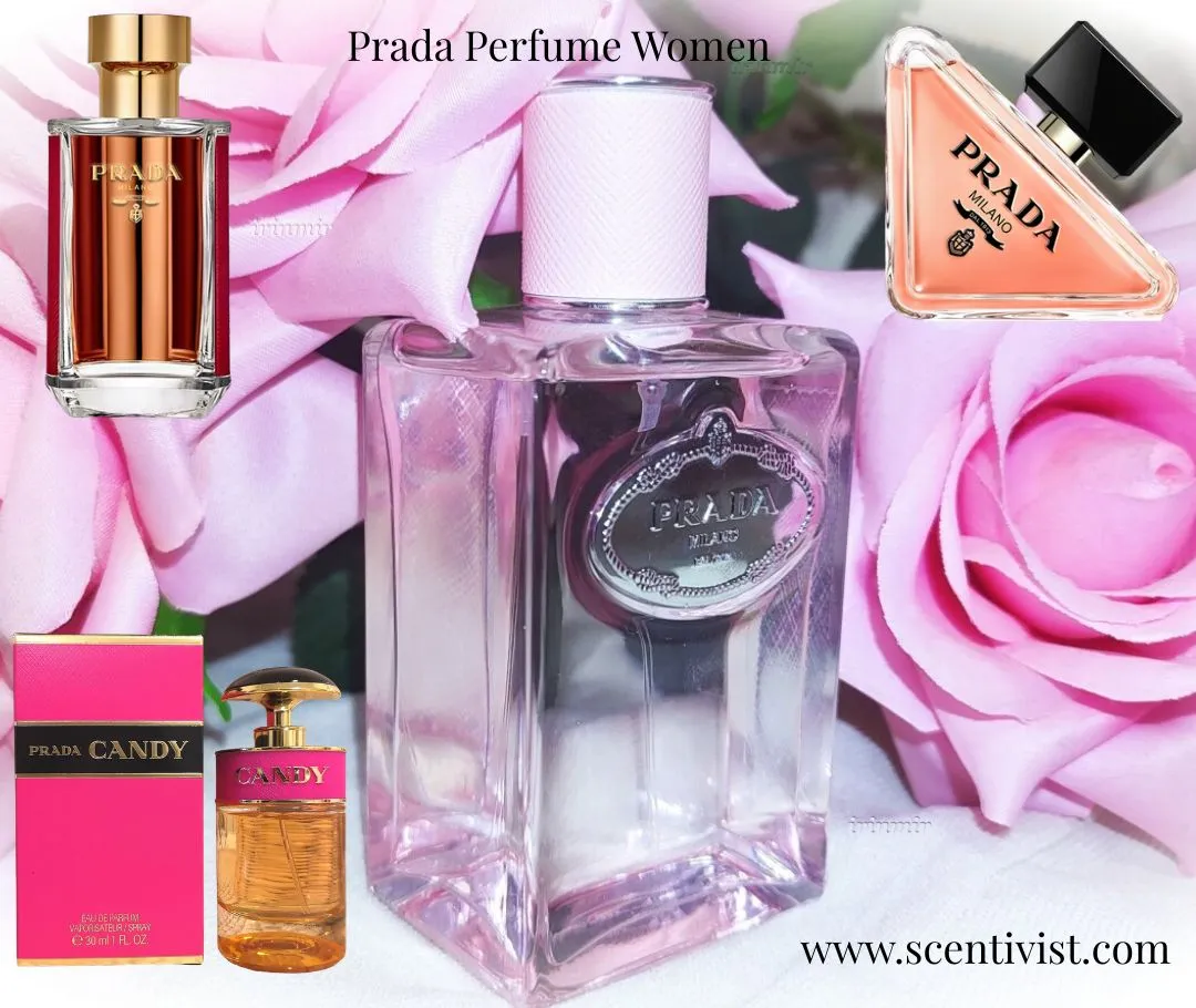 A collection of Prada women’s perfume bottles in different styles displayed against soft pink roses.