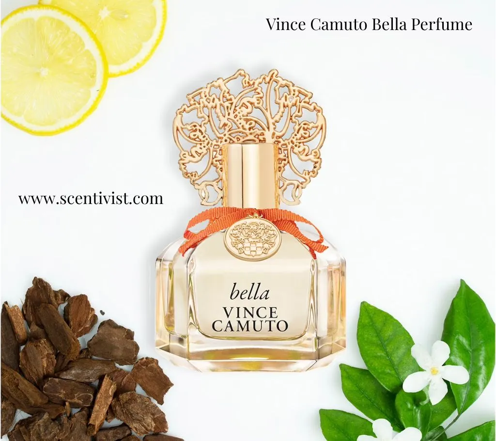 Vince Camuto Bella perfume bottle with a gold decorative cap, surrounded by lemon slices, wood pieces, and green leaves with white flowers.