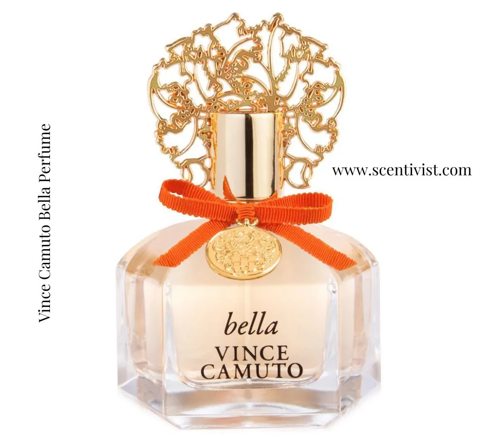 Vince Camuto Bella perfume bottle with a gold ornate cap and orange ribbon on a clean white background.